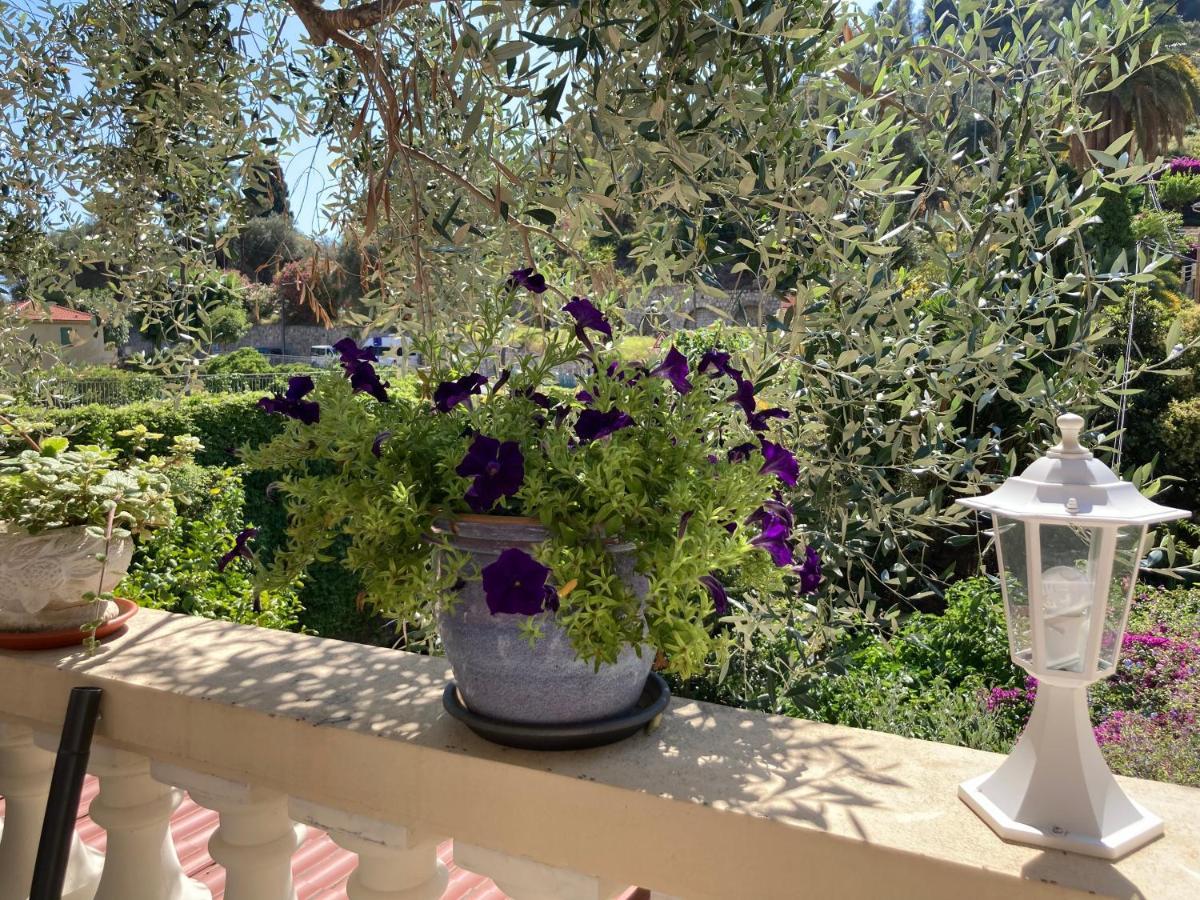 Studio Villa La Cigale Avec Grande Terrasse Menton Eksteriør billede