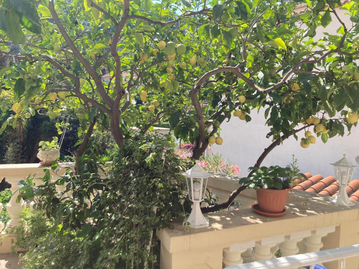 Studio Villa La Cigale Avec Grande Terrasse Menton Eksteriør billede